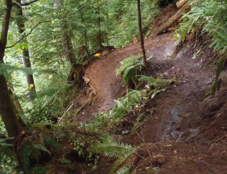 Trail Switchback